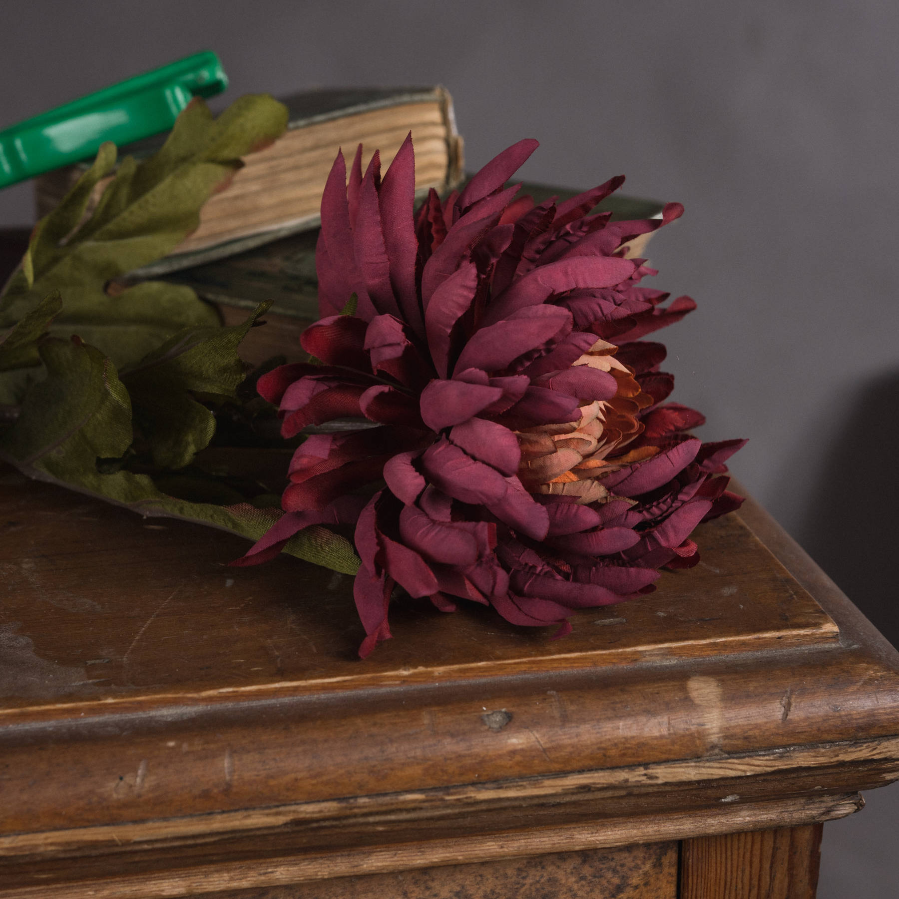 Autumn Spider Chrysanthemum - Image 3