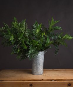 Pistach Bunch