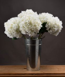 Oversized White Hydrangea