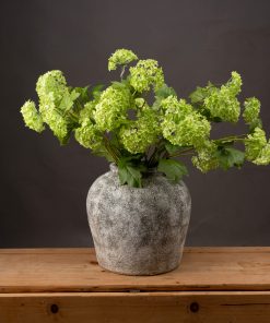 Green Viburnum Spray
