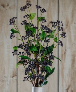Viburnum Berry
