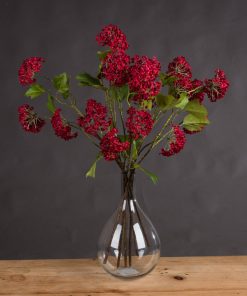 Red Autumnal Viburnum