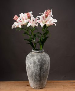 Stargazer Lily