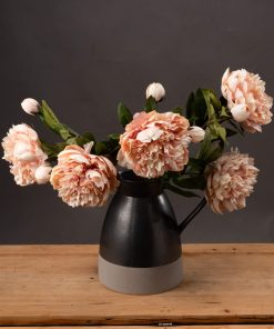 Peach Peony Rose