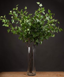 Green Branch Spray