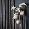 White Orchid In Stone Pot - Image 4