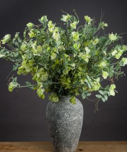 Sweet Pea Trail