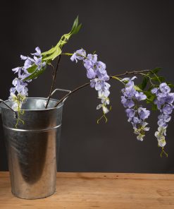 Lilac Wisteria