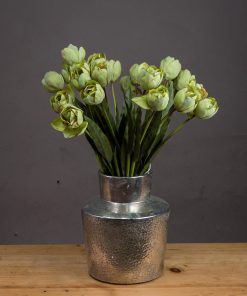 Green Tulip