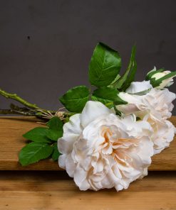 Peachy Cream Short Stem Rose Bouquet