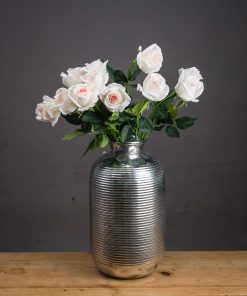 Palest Pink Tea Rose