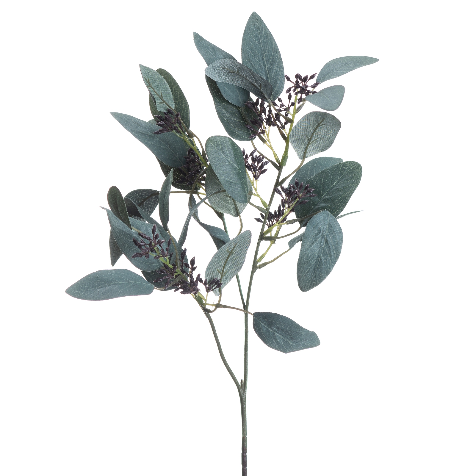 Seeded Eucalyptus Stem - Image 4
