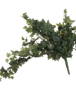 Ivy Pick