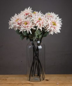 Lush Pink Dahlia