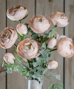 Pastel Pink Ranunculus