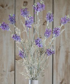 Purple Meadow Flower