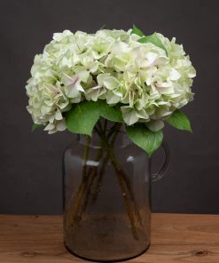 Shabby Green Single Hydrangea