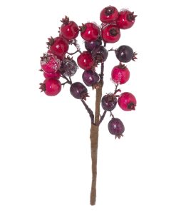 Fat Red Berry Pick