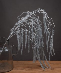 Festive Silver Amaranthus