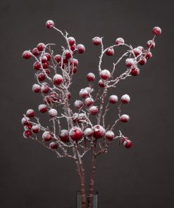 Large Red Festive Berry
