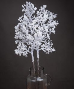 Snowy Branch