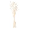 Dried White Bunny Tail Bunch Of 60 - Image 2