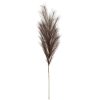 Grey Large Faux Pampas Grass Stem