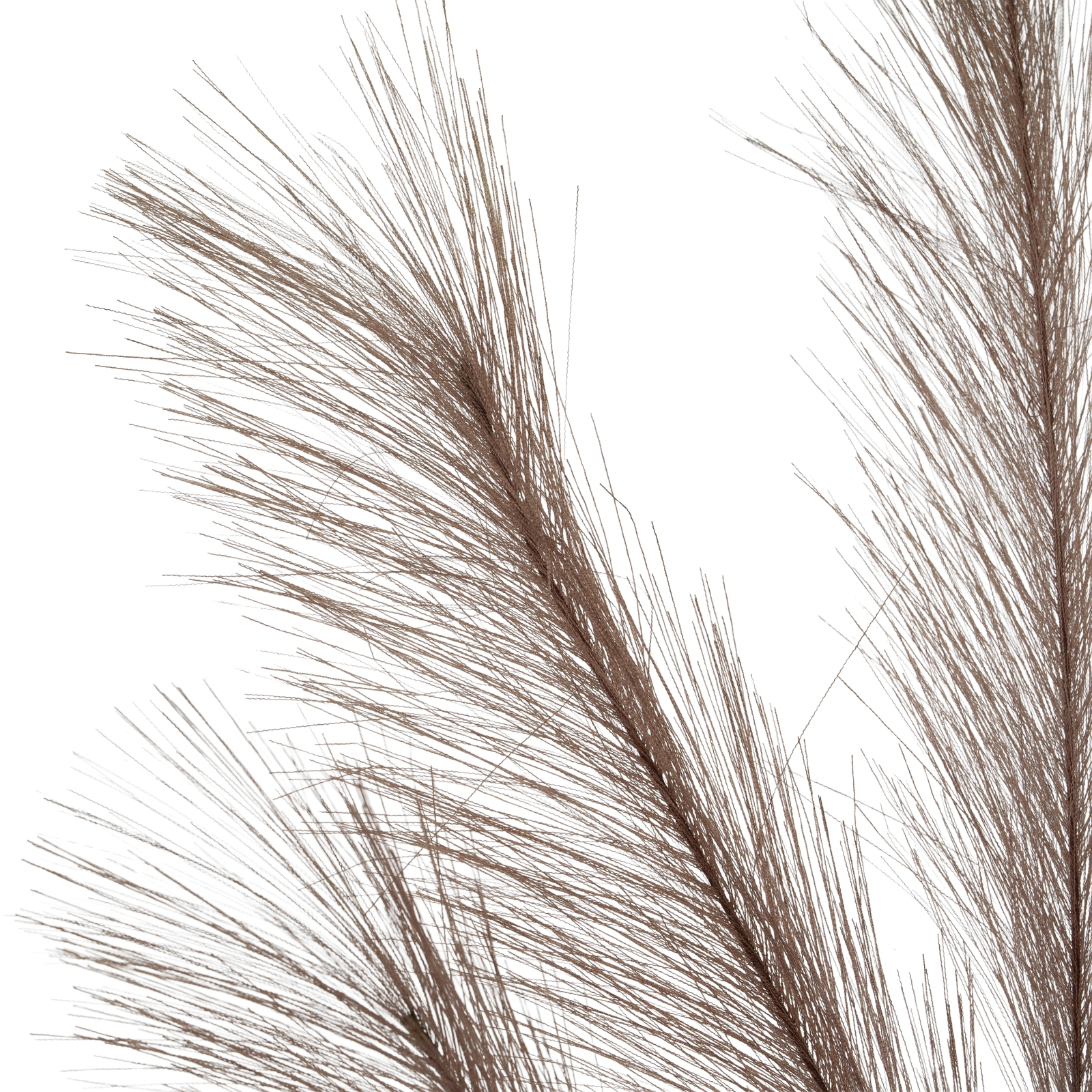 Grey Large Faux Pampas Grass Stem - Image 4