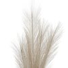Bleached Large Faux Pampas Grass Stem - Image 3