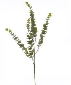 Gunnii Eucalyptus Spray