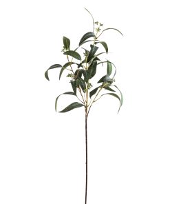 Seeded Eucalyptus Spray