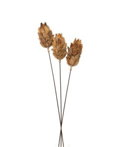 Bouquet Of Dried Protea