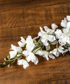 Tall White Delphinium Stem