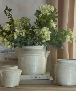 Long Fennel Stem