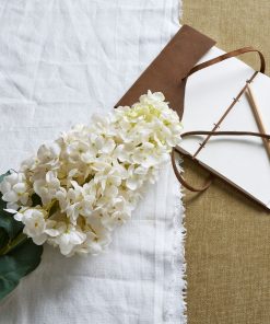 White  Spear Hydrangea