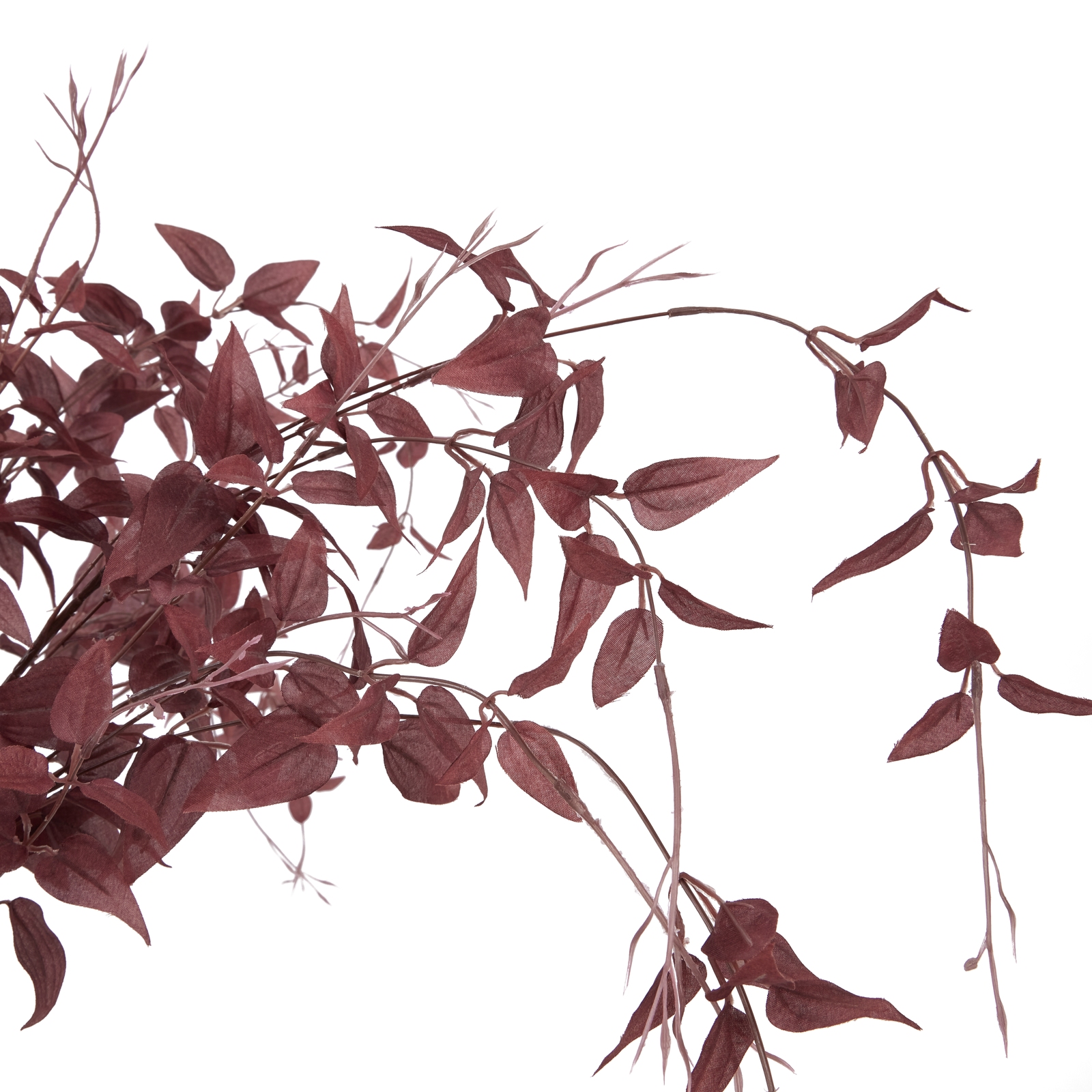 Ornamental Burgundy Leaf - Image 5