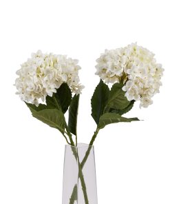 White Hydrangea Stem