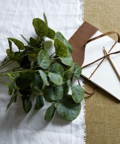 Short Eucalyptus Bunch