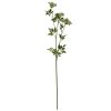 Faux White Cow Parsley Ammi - Image 4