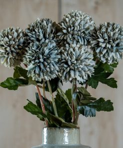 Pale Green Blue Short Chrysanthemum