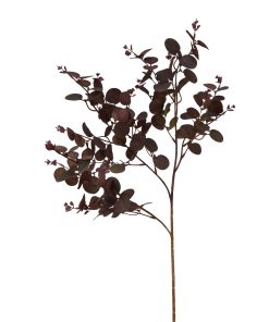 Burgundy Eucalyptus Bunch