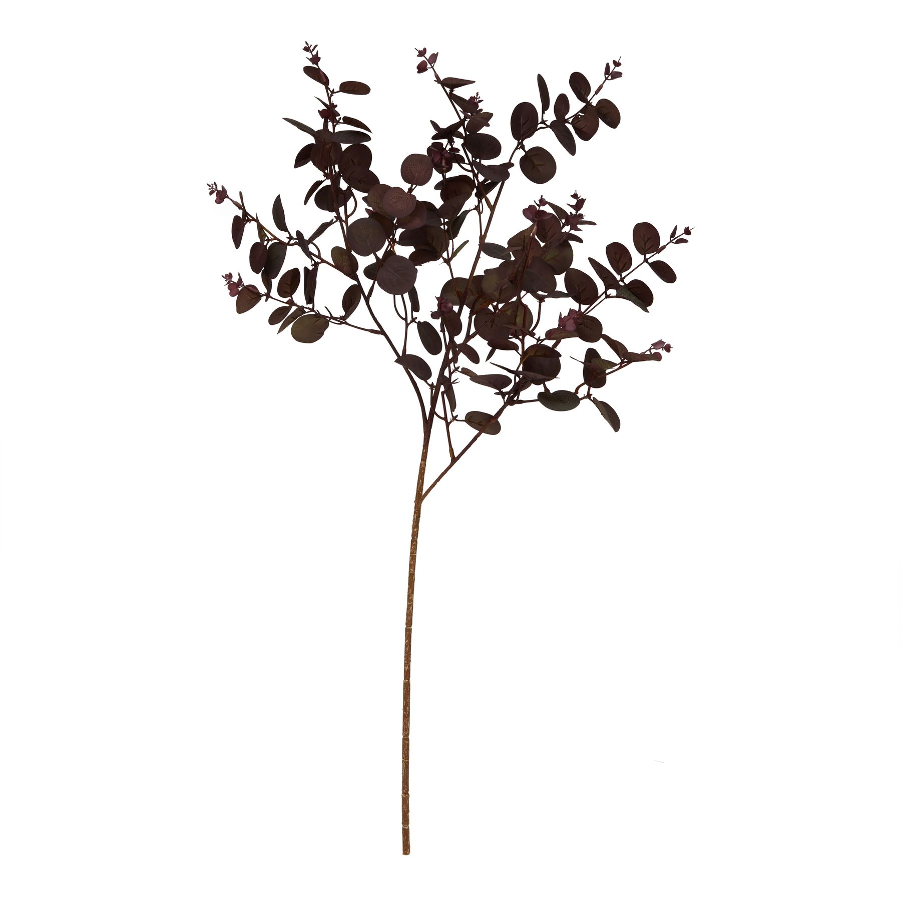 Burgundy Eucalyptus Bunch - Image 2