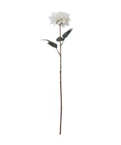 The Natural Garden Collection Tall White Dahlia