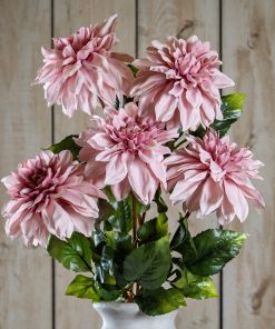 The Natural Garden Collection Pink Dahlia