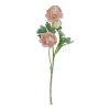 The Natural Garden Collection Pink Ranunculus - Image 3