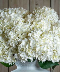 The Natural Garden Collection White Allium