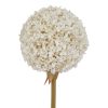 The Natural Garden Collection White Allium - Image 4