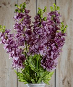 The Natural Garden Collection Purple Elatum Delphinium