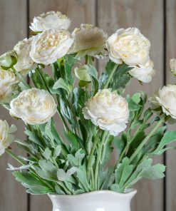 The Natural Garden Collection White Ranunculus