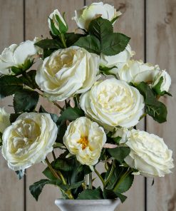 The Natural Garden Collection White Charity Rose